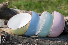 a bunch of bowls sitting on top of a tree branch in the grass next to some logs