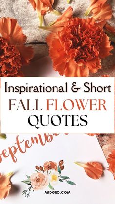 an orange flower with the words inspirational and short fall flower quotes written on it next to some flowers