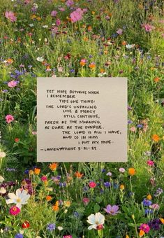 a sign that is in the middle of some grass and flowers with words written on it