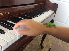 a person's hand is playing the piano while wearing a bracelet with a green leaf on it