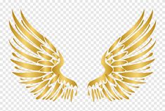 two golden wings on a white background