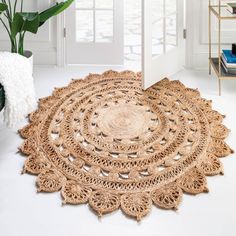 a large round rug is on the floor next to a potted plant