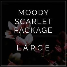 Moody Scarlet diy wedding flower package Leatherleaf Fern, Black Magic Roses, Moody Wedding Flowers, Dark And Moody Wedding, Dark Red Wedding, Year Round Flowers, Flower Moxie, Wedding Flower Packages, Dark And Moody