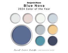 blue and white color palettes for the new paint line, behram moore