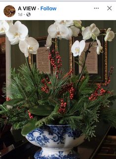 Simon Pearce Christmas Trees Display, Orchid Christmas Centerpiece, Christmas Orchid Arrangements, Poinsettia Arrangement, Round Coffee Table Decor, Kurt Adler Christmas, Poinsettia Centerpiece, Holiday Flower Arrangements, House Of York