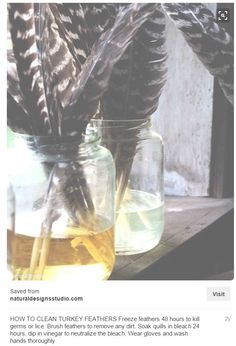 an image of two jars with feathers in them