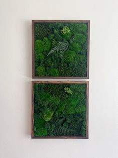 two wooden boxes filled with green plants on top of a white wall next to each other