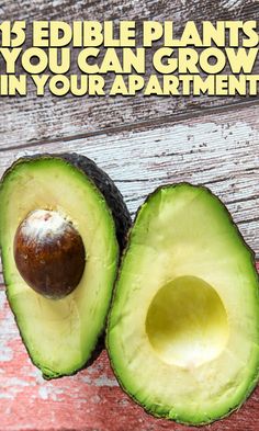 an avocado cut in half with the words 13 edible plants you can grow in your apartment