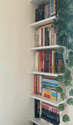 a bookshelf filled with lots of books next to a plant on the wall