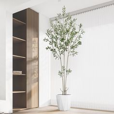 a potted plant sitting on top of a wooden floor next to a book shelf