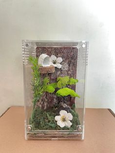 a glass box with plants and flowers inside