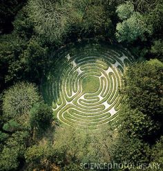 an aerial view of a maze in the woods