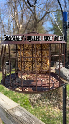 a bird feeder hanging from the side of a wooden fence