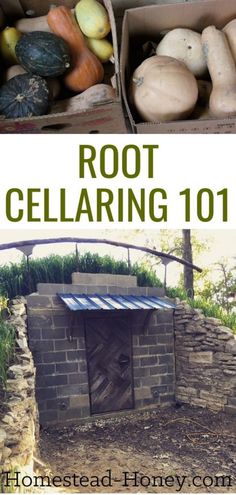 there are many different types of root cellars in this photo and the text reads root cellar 101