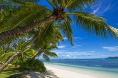 the beach is lined with palm trees and white sand, as well as clear blue water