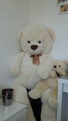 a large white teddy bear sitting next to a smaller one