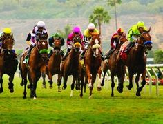 jockeys on horses racing down the track at a horse race