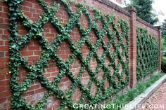 a brick wall with ivy growing on it