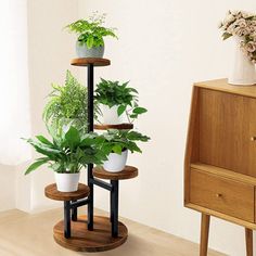 three tiered plant stand with potted plants on it