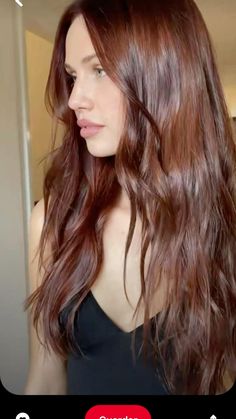 Winter Semester, Rambut Brunette, Red Hair Inspo, Brown Hair Inspo, Hair Dyes, Ginger Hair Color, Dark Red Hair, Red Brown Hair, Hair Color Auburn