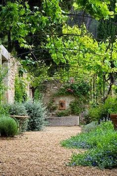 an outdoor garden with lots of plants and trees