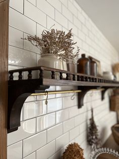 a shelf that has some plants on it