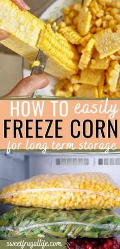 corn on the cob is being cut up and put into a freezer with text overlay that says how to easily freeze corn