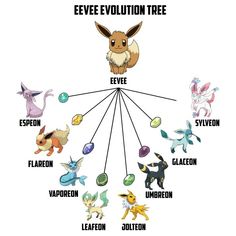 the eevee evolution tree is shown with different types of pokemons in it