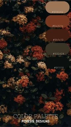 the color palette is brown, black, and white with some red flowers on it