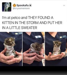 the kitten is wrapped in a sweater and being held up by someone's hands