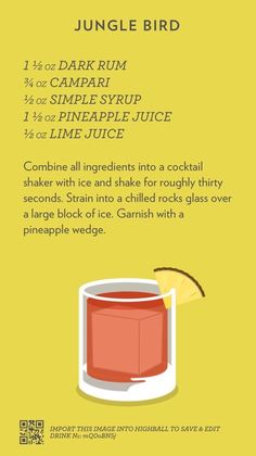 an info sheet describing how to use the jungle bird cocktail recipe for your next party