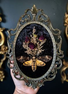 a hand holding up an ornate gold frame with flowers and a moth on the front