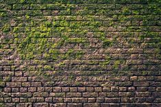 an old brick wall covered in green moss