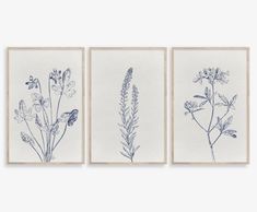 three blue and white floral prints hanging on a wall