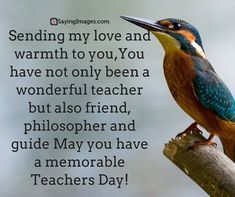 a bird sitting on top of a tree branch next to a quote that says sending my love and warmth to you, you have not only been a wonderful teacher but also