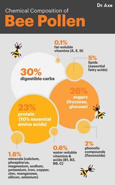 an info poster showing the different types of bees and how they use them to eat