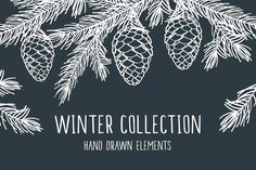 the winter collection hand drawn elements is displayed on a dark background with pine cones and branches