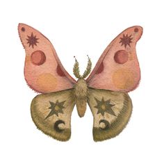 a pink and brown butterfly with stars on it's wings