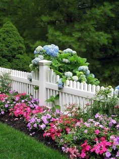 a white picket fence surrounded by colorful flowers