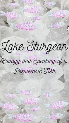 an image of some ice crystals with the words lake stuirgen on it