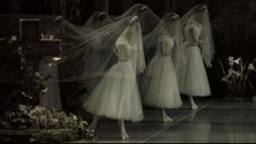 three women in white dresses are standing on the stage with veils over their heads