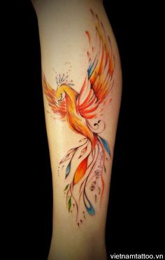 a colorful bird tattoo on the back of a woman's leg with watercolors