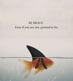 a goldfish with a shark fin in it's mouth and the caption be brave even if you are not, pretend to be