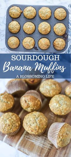 banana muffins in a pan with the title text overlay reads, sourdough banana muffins a blossoming life