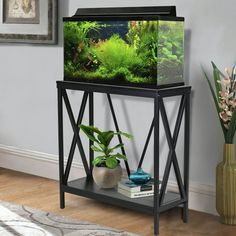 a fish tank sitting on top of a shelf next to a plant