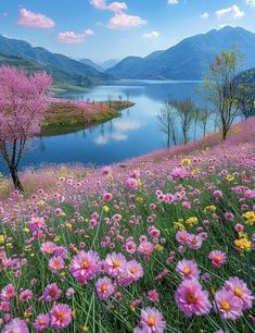 the flowers are blooming on the hillside by the water and mountains in the background