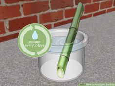 a green pen sitting on top of a white container next to a brick wall with the words replace every 2 days