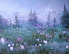 a field with purple flowers and trees in the background on a foggy day at dusk