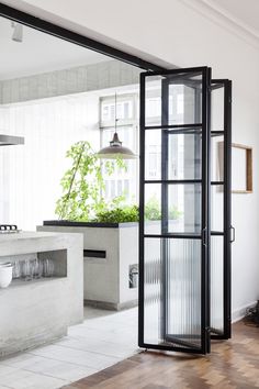 an open door leading to a kitchen and dining area with potted plants on the counter