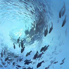 a large group of fish swimming in the ocean